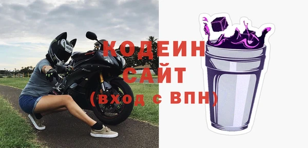 шишки Коряжма