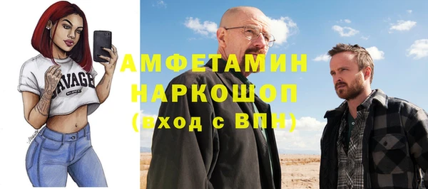 шишки Коряжма