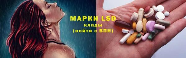 ECSTASY Костерёво