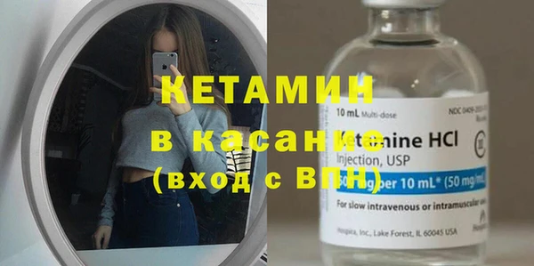шишки Коряжма
