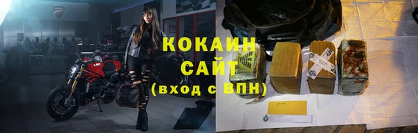 шишки Коряжма