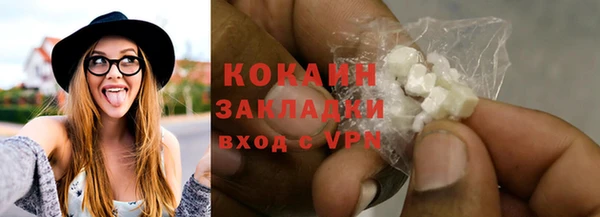 шишки Коряжма