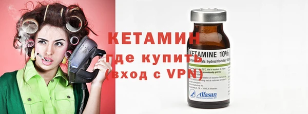шишки Коряжма