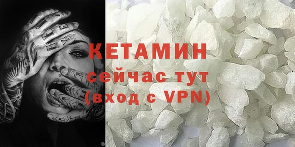 шишки Коряжма