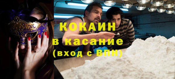 шишки Коряжма