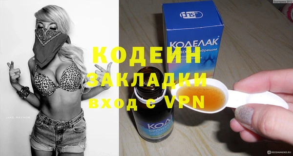 шишки Коряжма